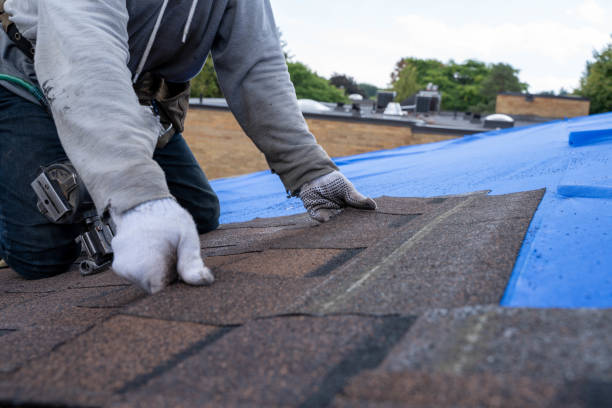 Roof Gutter Cleaning in Terre Hill, PA